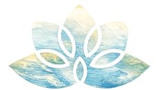 Screenshot_20260221_175024_Chrome