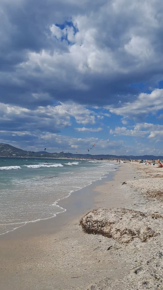 Chant médecine de l’instant
Il est juste là 

Lié à l’eau matricielle 
Entre la terre et le ciel

 Vagues, vent, lumière, couleurs

Son vibrant

Scintillements

Avec la lumière 
change l’eau
sa vibration, sa fonction

Fluide Légère aérienne 
Guérisseuse douce comme de la soie

Jusqu’à être liquide métal 
Mercure argenté
Plasma, Amniotique ou magma

Tout peut s’y dissoudre
Mourir et renaître
Elle absorbe englobe et transforme. 

#tymamandine #tymbienetre #chantmedecine #songuerisseur #eaumatricielle #vent #inspiration #channeling #liberté